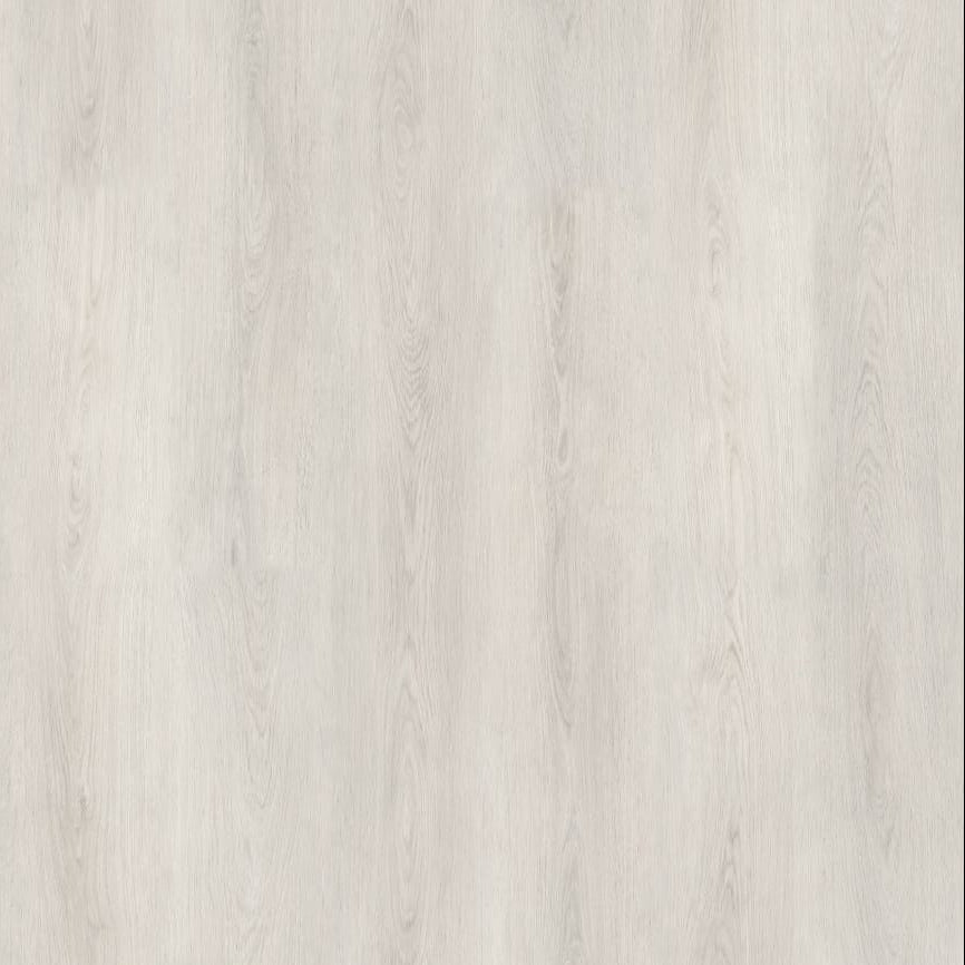 Blass Gray color swatch on a textured beige background